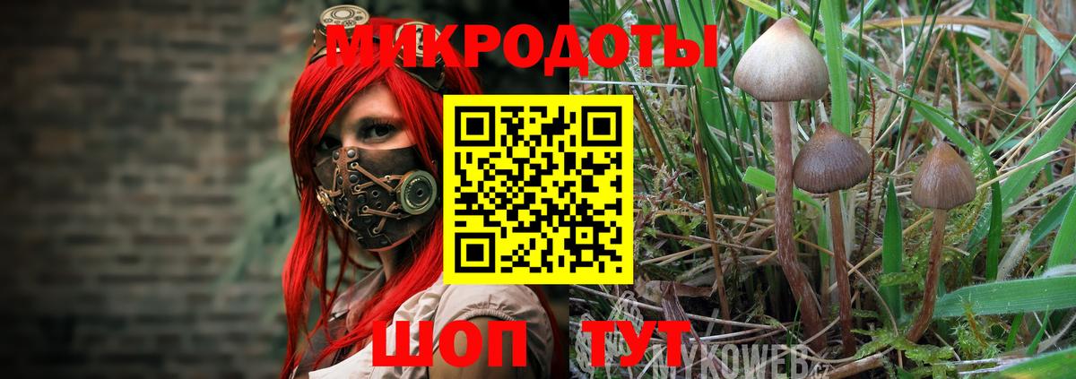 Галлюциногенные грибы MAGIC MUSHROOMS Балашов